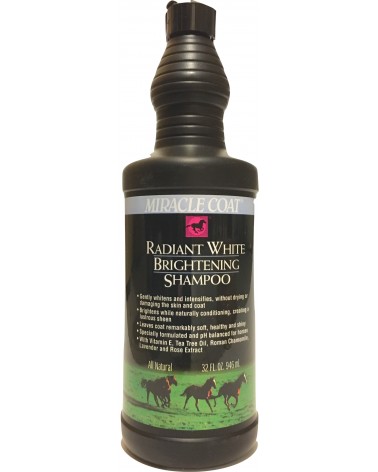 shampooing-cheval-chevaux-clairs